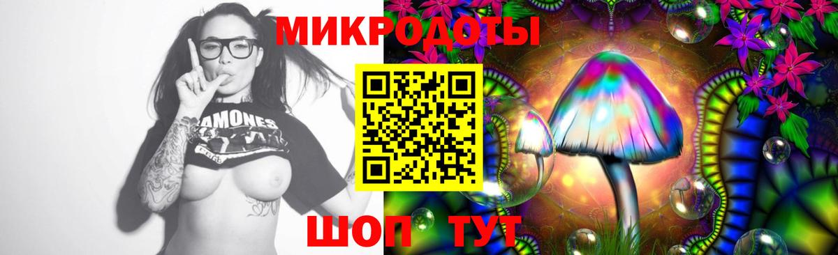 Галлюциногенные грибы Psilocybe  Вход с VPN  Псилоцибиновые грибы ЛСД  Коломна 